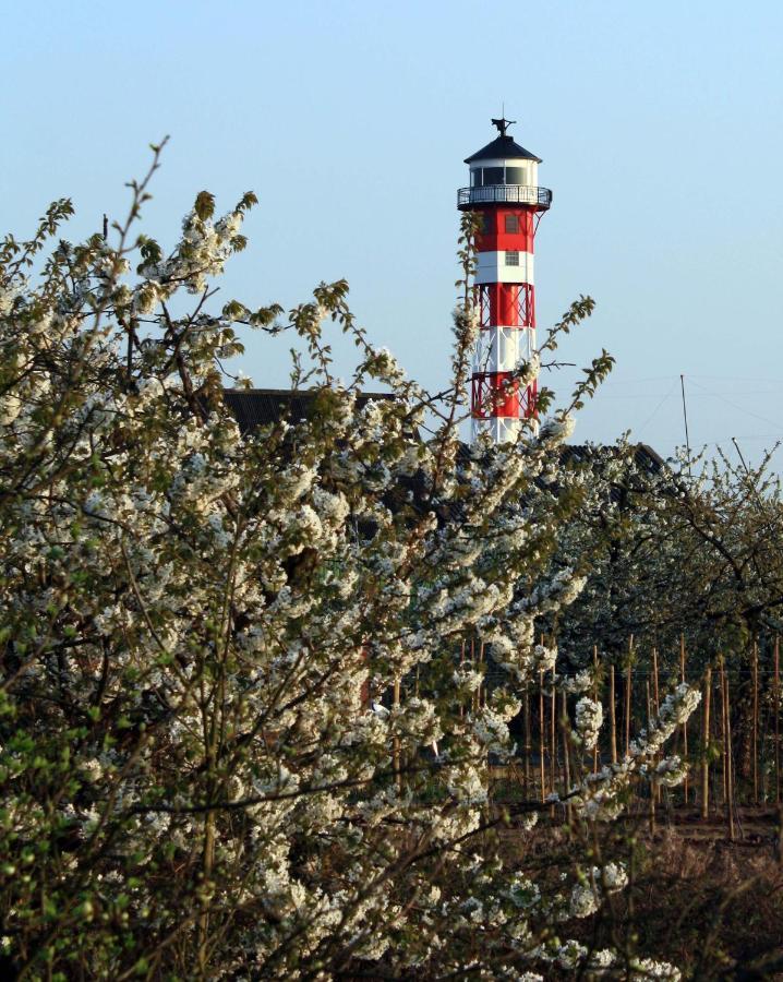 Fewo Blankenese Im Haus Luehegarten Grünendeich Εξωτερικό φωτογραφία
